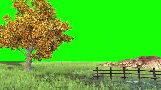 Nature Overlay Green Screen | Free Download for Video Editing