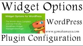 Widget Options WordPress Plugin Setting 2018