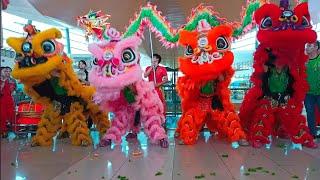 Vivid Lion & Dragon Dance