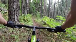 MTB: Nestor Peak - White Salmon, Washington