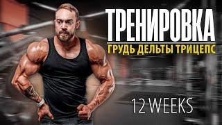 Тренировка груди | 12 недель до соревнований | Смотрим форму | Тренировка дельт, трицепс