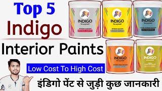 Top 5 Indigo Interior Paint Price & Review | Indigo Paints