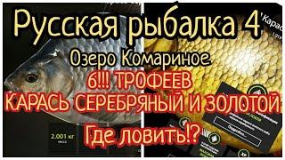 РР4. Озеро Комариное. 6! ТРОФЕЕВ Карась Серебряный и Золотой. Также Плотва, Линь, Окунь и Ротан.