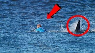 Top 5 Most Infamous Shark Attacks