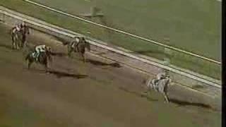 Lady's Secret - 1986 Breeders Cup Distaff