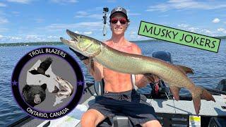 Musky Jokers E3 - Five Fish Day