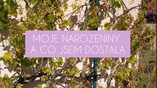 VLOG #210 ¦ NAROZKY ¦ CO JSEM DOSTALA ¦ VENKU #vlog #dailyvlog #narozeniny