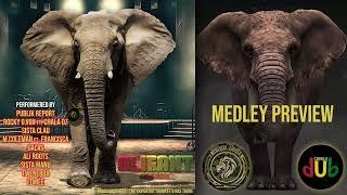 Olifant Riddim - Medley Preview  - Mystical LightA Label & Casalu Dub