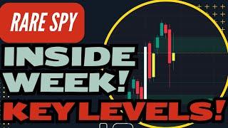 RARE INSIDE WEEK Key LEVELS - TSLA NVDA SPX AMZN AMD Technical Analysis - Stock Market Outlook