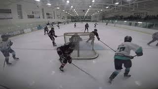 Weston Palmer 2010 Goaltender 2023-2024 Season Highlights