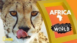 Africa | Destination World