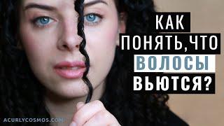 Кудрявый метод для прямых волос: как понять, что волосы вьются.