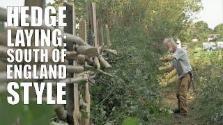 Hedge Laying: South of England Style