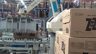 Palletizing Robot System | Alligator Automations