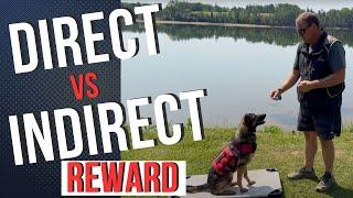 The Power of Food Rewards in Dog Training | Direct & Indirect Reward