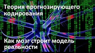 Теория прогнозирующего кодирования | Как мозг строит модель реальности | Иллюзия объективности