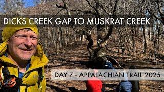 2025 Appalachian Trail Thru Hike Day 7 - Leaving Georgia - Dicks Creek Gap to Muskrat Creek Shelter