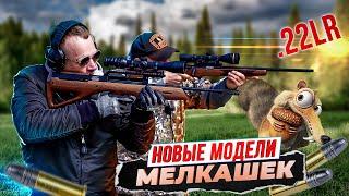 Мелкашки. Очень нужный калибр .22 LR. Как попасть белке в глаз. Самые интересные новинки 2023 года.