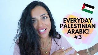 20 PALESTINIAN USEFUL EVERYDAY EXPRESSIONS! 3 Mneeh!