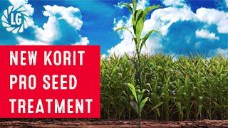 Korit® PRO - NEW seed treatment for maize from Limagrain UK