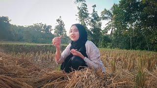 Menikmati Suasana Pedesaan Di Sore Hari Bareng Neng Punky, Mencari Jamur Merang Di Sawah