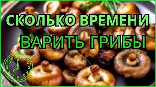 Сколько времени варить грибы? Как правильно варить грибы? Как сварить грибы