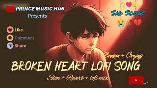 Broken Heart Lofi Song | Prince Music Hub | Broken + Crying | Sad Song | Slow & Reverb | Fake Love