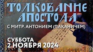 Суббота, 2 ноября 2024 года. Толкование Апостола с митр. Антонием (Паканичем).