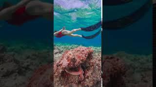 Bikini diving underwater diving Asian swimsuit dancing Chinese lady beautiful lady 比基尼美女跳水潜水