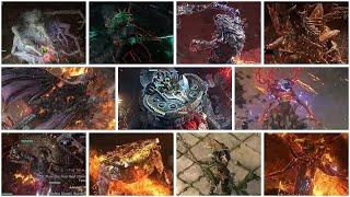 Path of Exile 2 ALL BOSSES