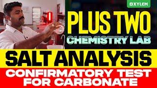 Plus Two Chemistry Lab | Salt Analysis - Confirmatory Test For Carbonate | Xylem Plus Two