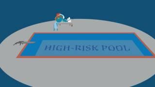 Sounds Like A Good Idea: High-Risk Pools