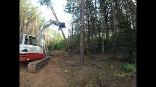 Clearing land with a Takeuchi TB290...Day 2