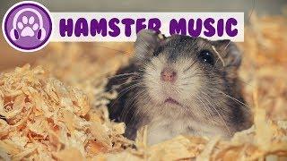 Music for Hamsters - Relaxing ASMR for Your Hamster! (TESTED)
