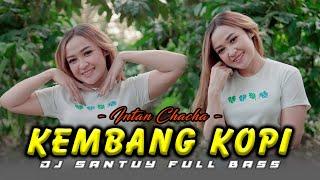 Intan Chacha - Kembang Kopi (DJ Santuy) | Official Music Video