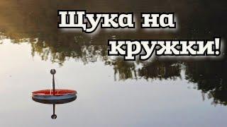 Рыбалка на летние жерлицы! Ловля щуки на живца! #рыбалкансо