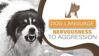 Understanding Dog Language - Nervous to Aggressive Behaviour