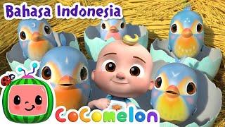 Lima Burung Kecil Menyambut Ramadhan!️ | CoComelon Bahasa Indonesia - Lagu Anak | Nursery Rhymes