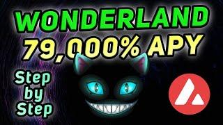 Wonderland on Avalanche - 79,000% APY DeFi Review