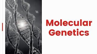 Molecular Genetics - Part 1 of 3