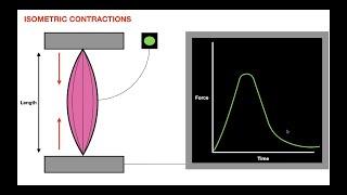 Isometric Contractions