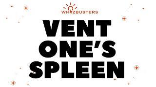 VENT ONE'S SPLEEN Meaning with Examples in Sentences | ENGLISH IDIOMS AND PHRASES