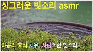 마음의 치유 휴식을 가져다 주는 싱그러운 빗소리 asmr