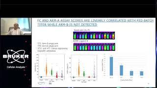 Development of an on chip binding assay to select clones expressing bispecific antibodies