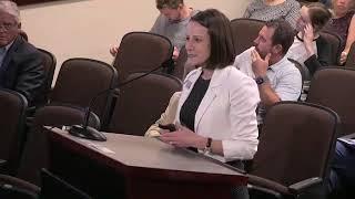 Tami Shaw FT Presentation @ Edmond City Council RE: Advisory Forum Strategy & Facilitation 6-10-2024