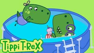 In the Swimming Pool like a Megalodon | Tippi T-Rex Full Episodes