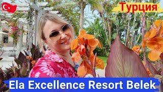 Ela Excellence Resort Belek. Семейный отель, питание супер. Уникальный детский клуб, город профессий