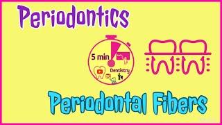 PERIODONTAL FIBERS - PRINCIPAL FIBERS - PERIODONTICS - EASY DENTAL LECTURE - 5 min DENTISTRY