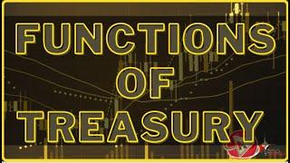 10 Functions of Treasury Explained | Role of Finance Department | Public Finance Now @ConsultKano