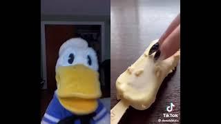 A Tiktok of Donald Duck hating the bugs! 🪳